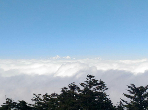 峨眉山饭店·禅悦（成都武侯祠华西医院店）主图