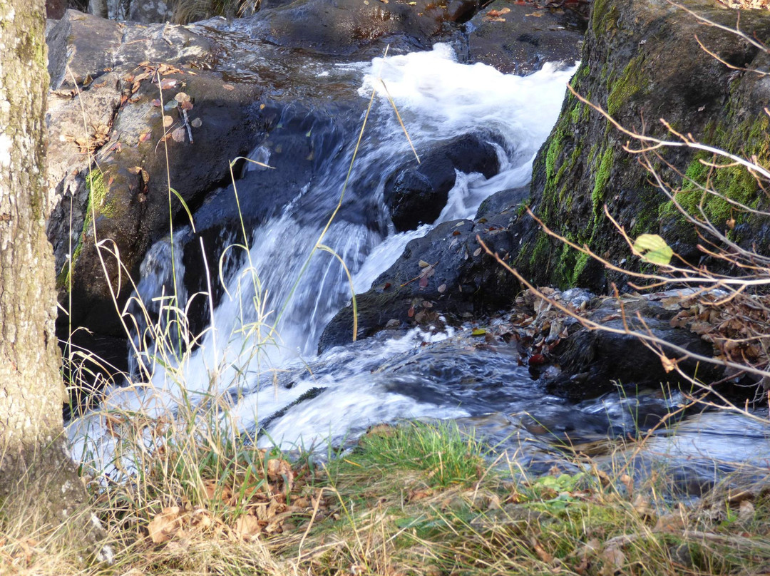 Cascade du Sartre-Cheylade必去景点