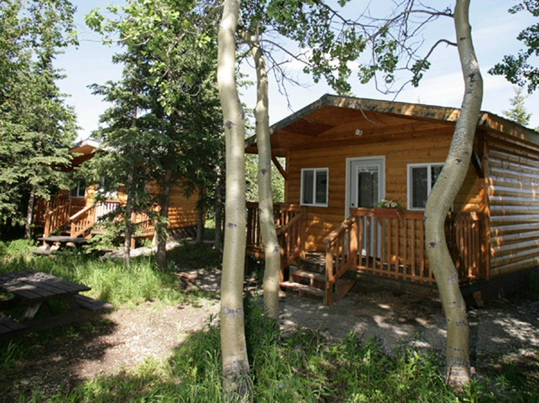 Denali Outdoor Center景点图片