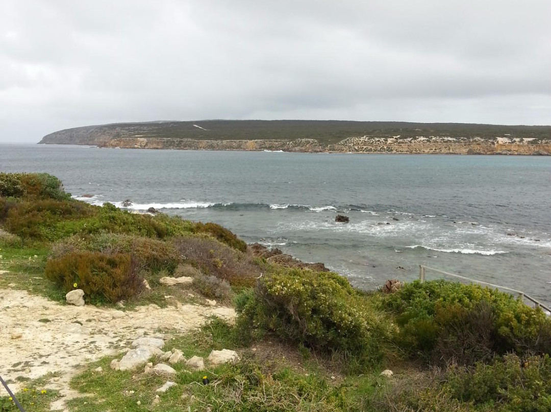 Fishery Bay-Port Lincoln必去景点
