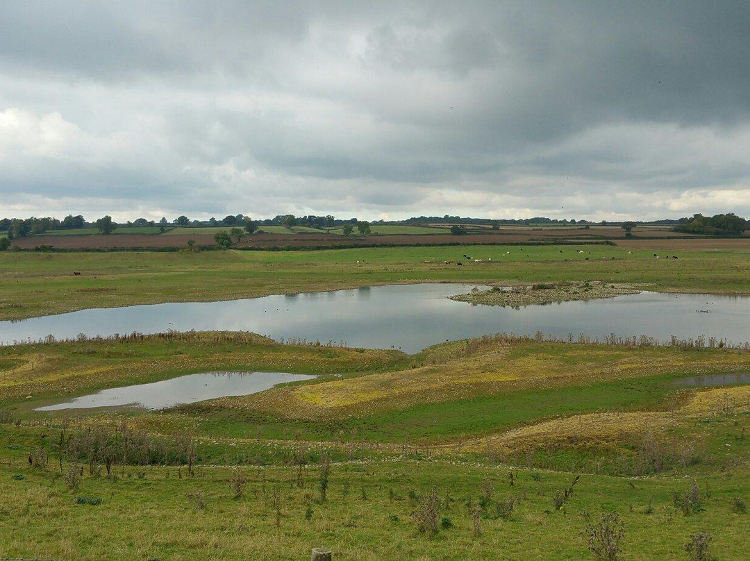 Nosterfield Nature Reserve景点图片