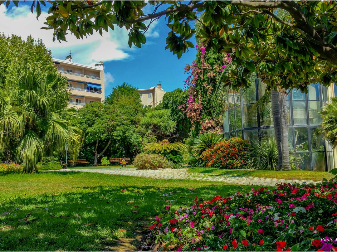 Musee des Arts Asiatiques de Toulon景点图片