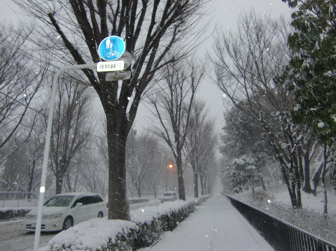 Aobadai Park-朝霞市必去景点