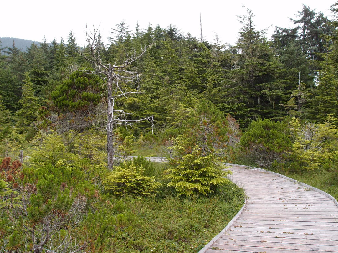 Herring Cove Trail-锡特卡必去景点