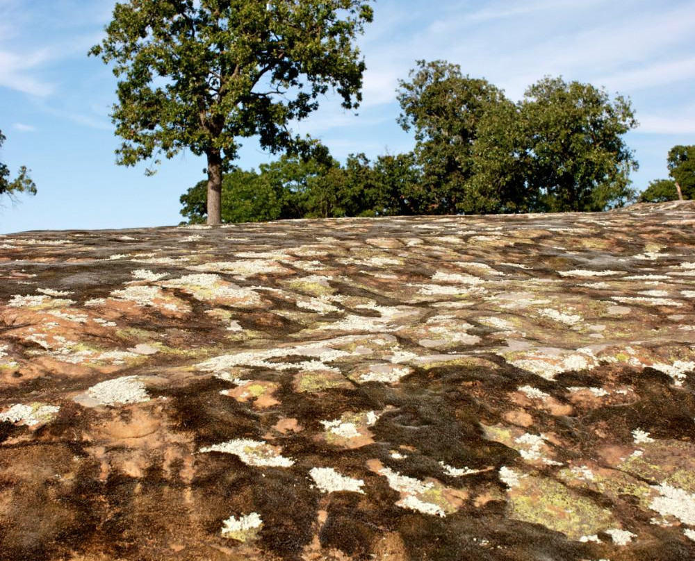 Claremore Lake-Claremore必去景点