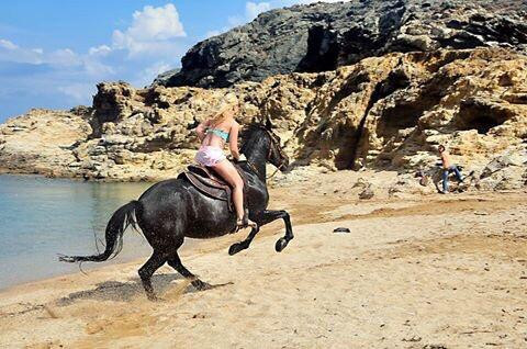 Mykonos Horseland-米科诺斯必去景点