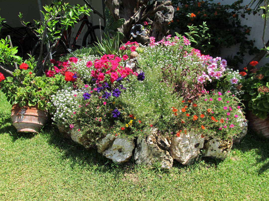 Tsamakdas House主图