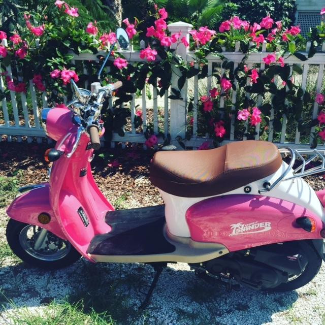 Port City Moped-棕榈岛必去景点