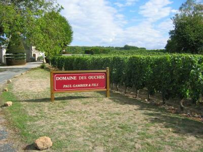 Coteaux-sur-Loire旅游攻略图片