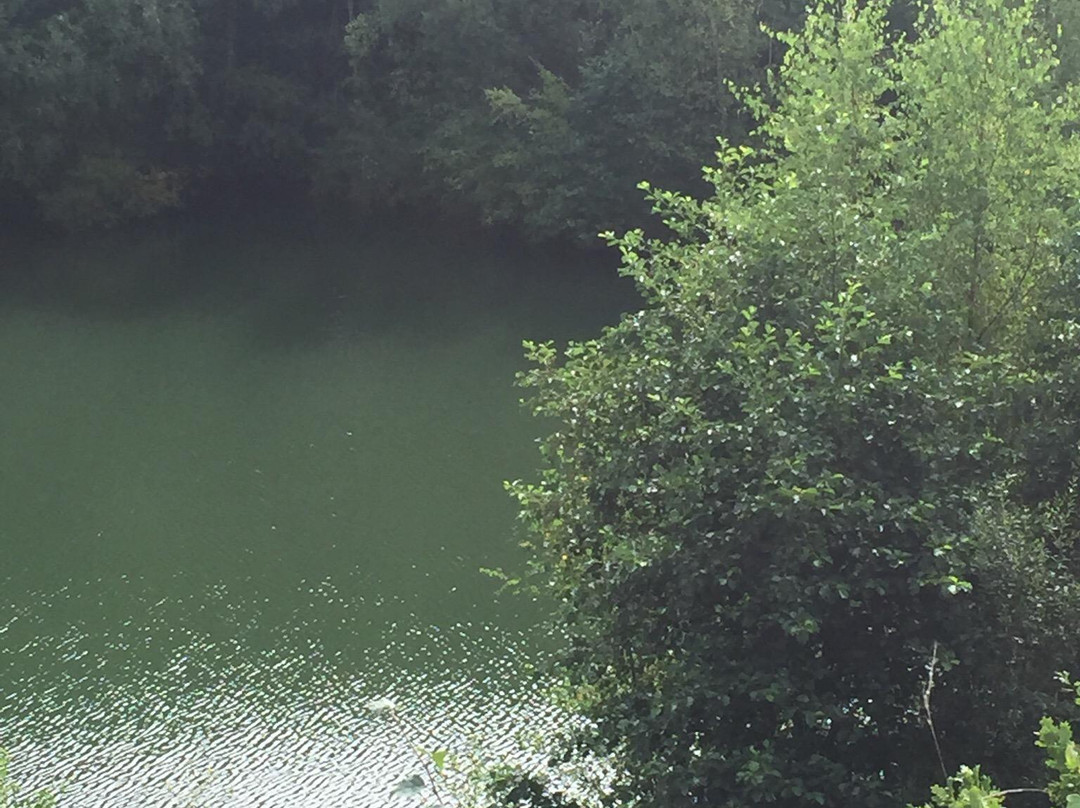Swanwick Lakes景点图片