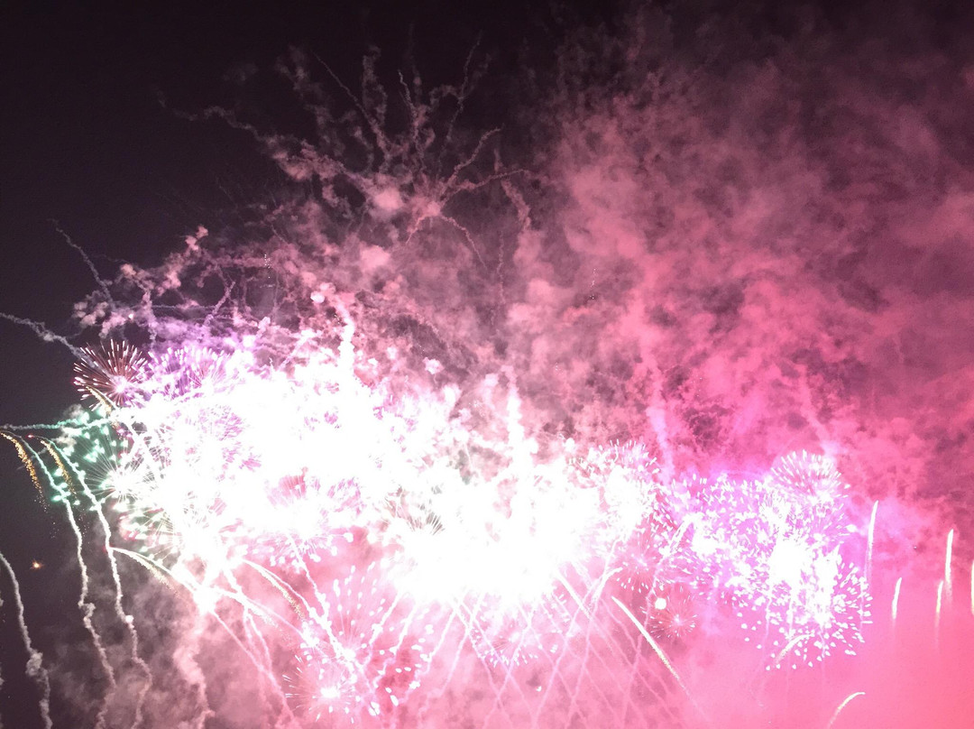 Tokyo Oval Keiokaku-调布市必去景点