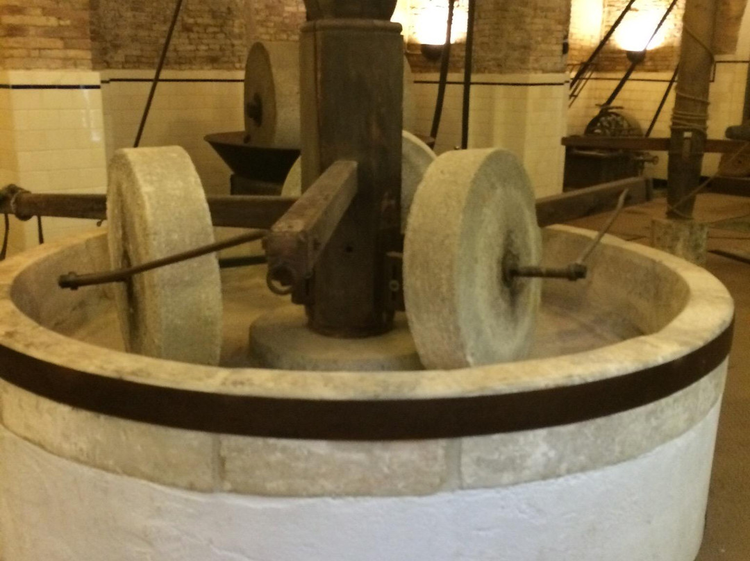 Collecorvino旅游景点-Museo dell'Olio