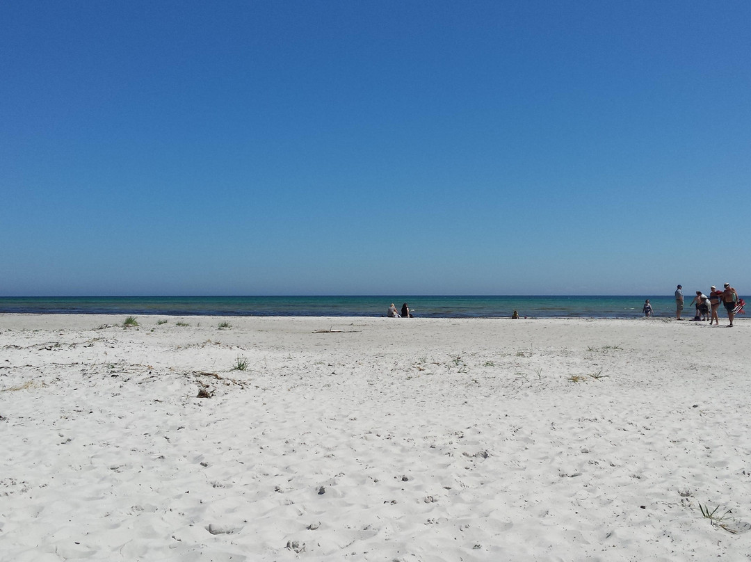 Strandmarken Dueodde-内克瑟必去景点