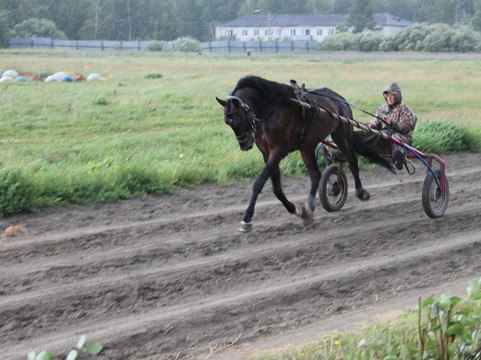 Kurgan Hippodrome-Kurgan必去景点