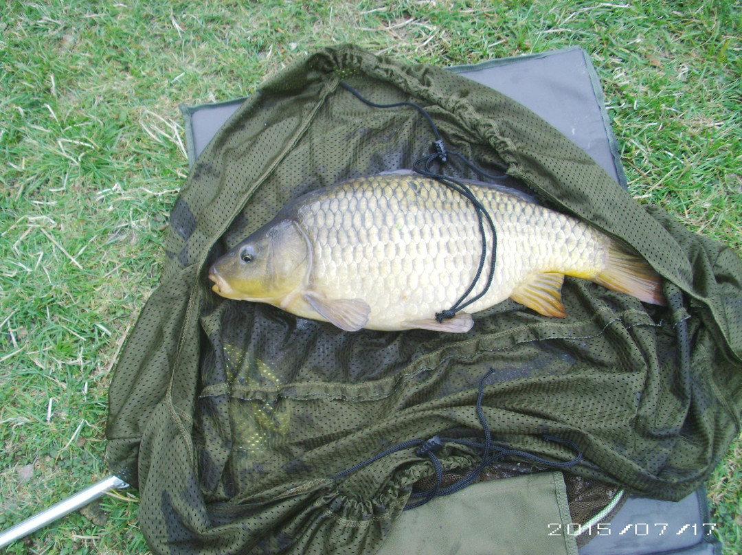 Upper Farm Fishery景点图片