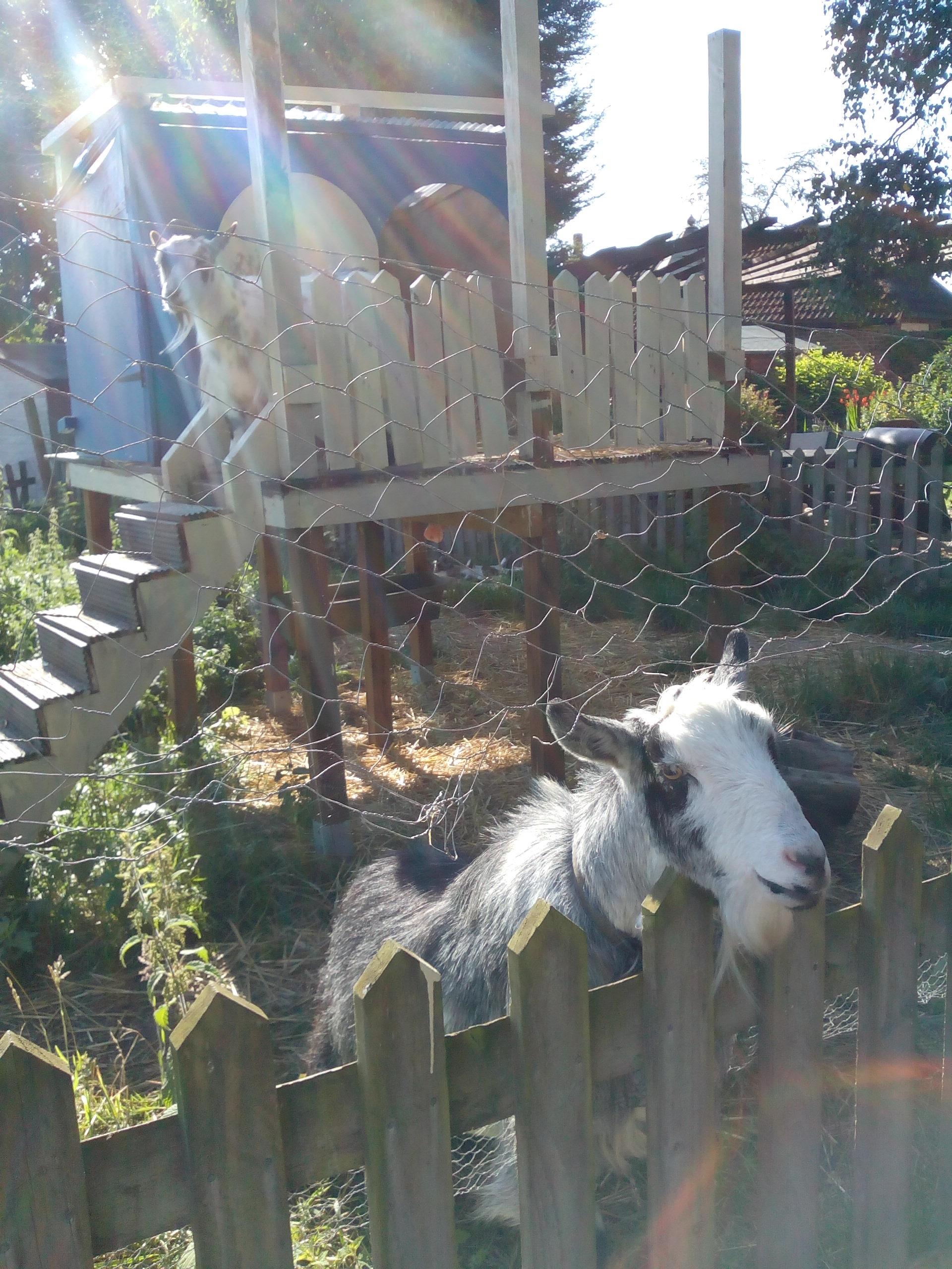 Rumbeams Cottage Bed and Breakfast-客卧