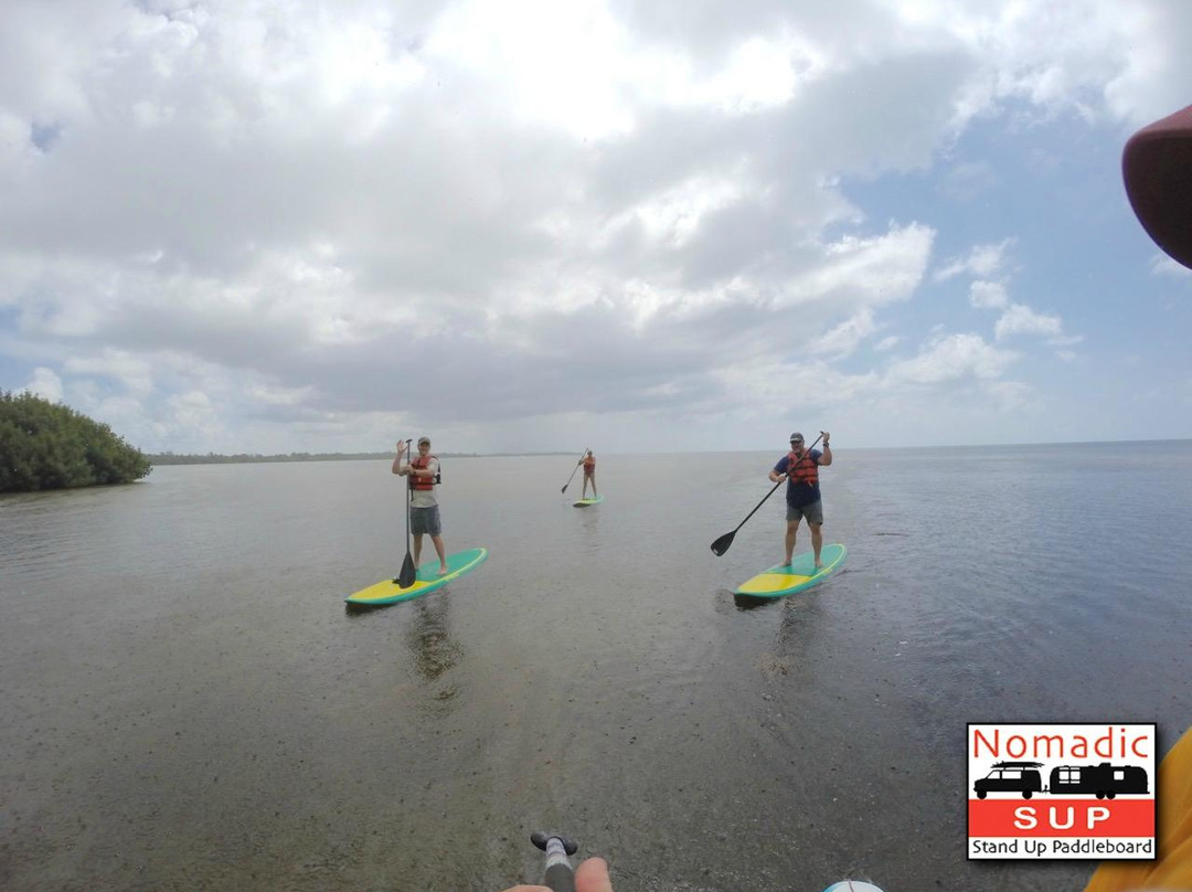 Nomadic SUP Paddleboard Eco Tours-基韦斯特必去景点