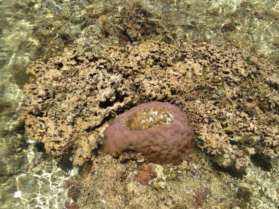 Gab Gab Beach-Santa Rita必去景点