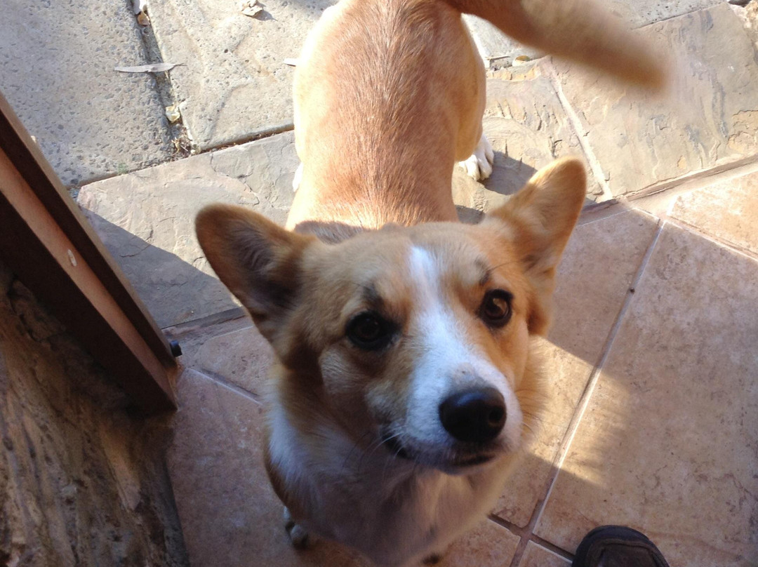 Barn Guesthouse主图