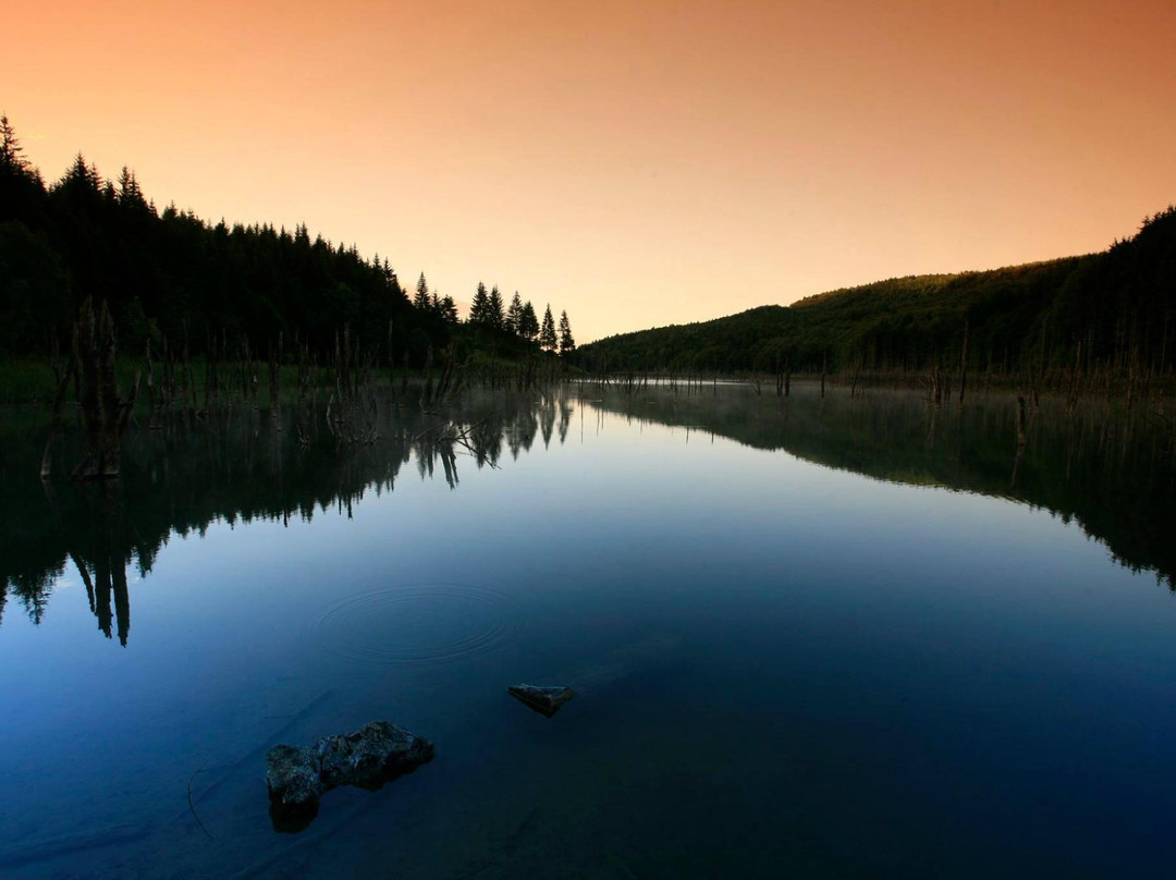 Lake Cuejdel-Piatra Neamt必去景点