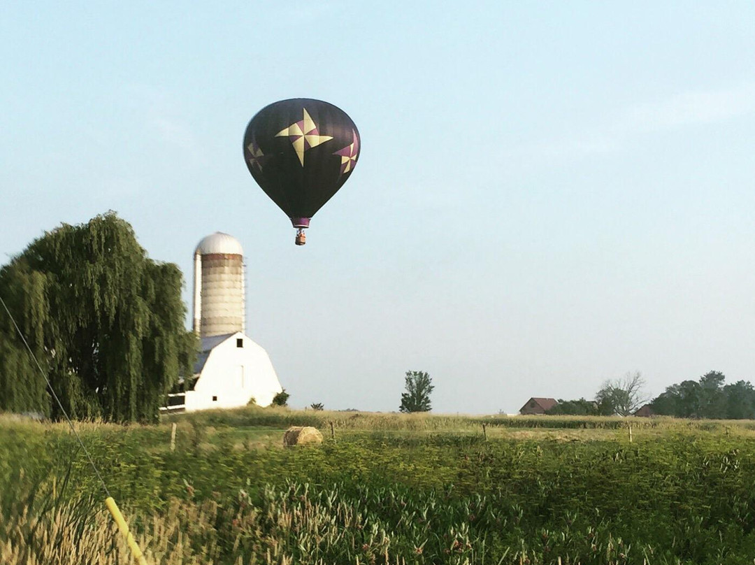 Majestic Balloon Flights景点图片