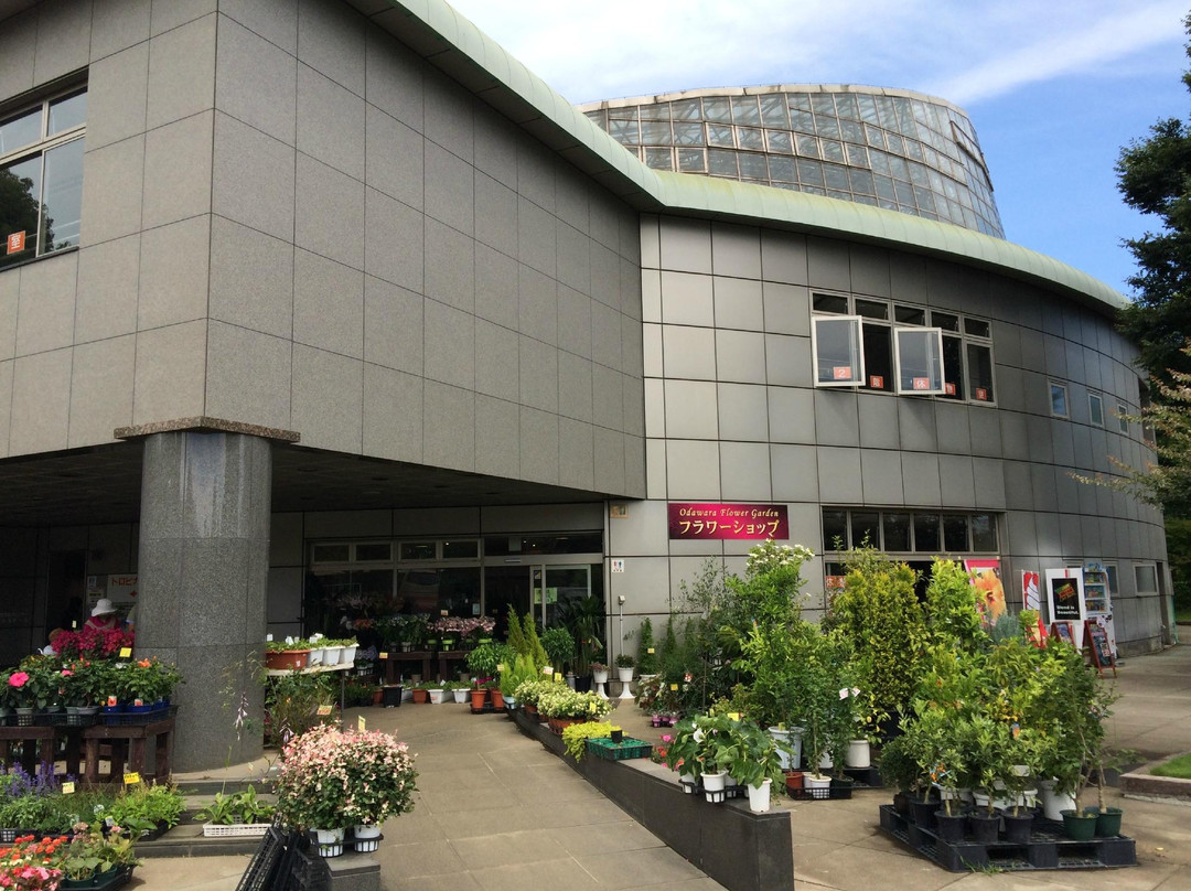 Odawara Flower Garden-小田原市必去景点