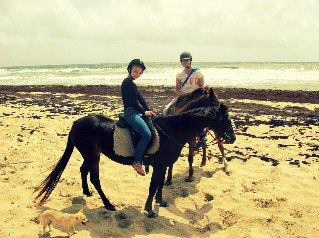 Ride Barbados-Saint Andrew Parish必去景点