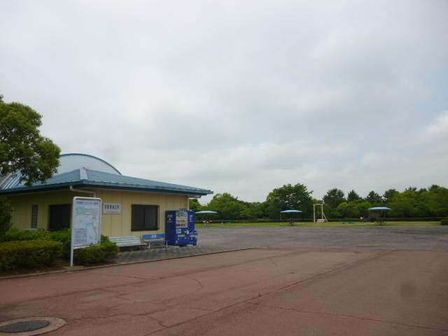 Tomihama Ryokuchi Park景点图片