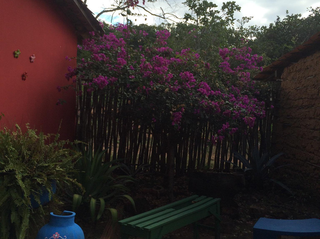 Museu da Roça-Pedro II必去景点