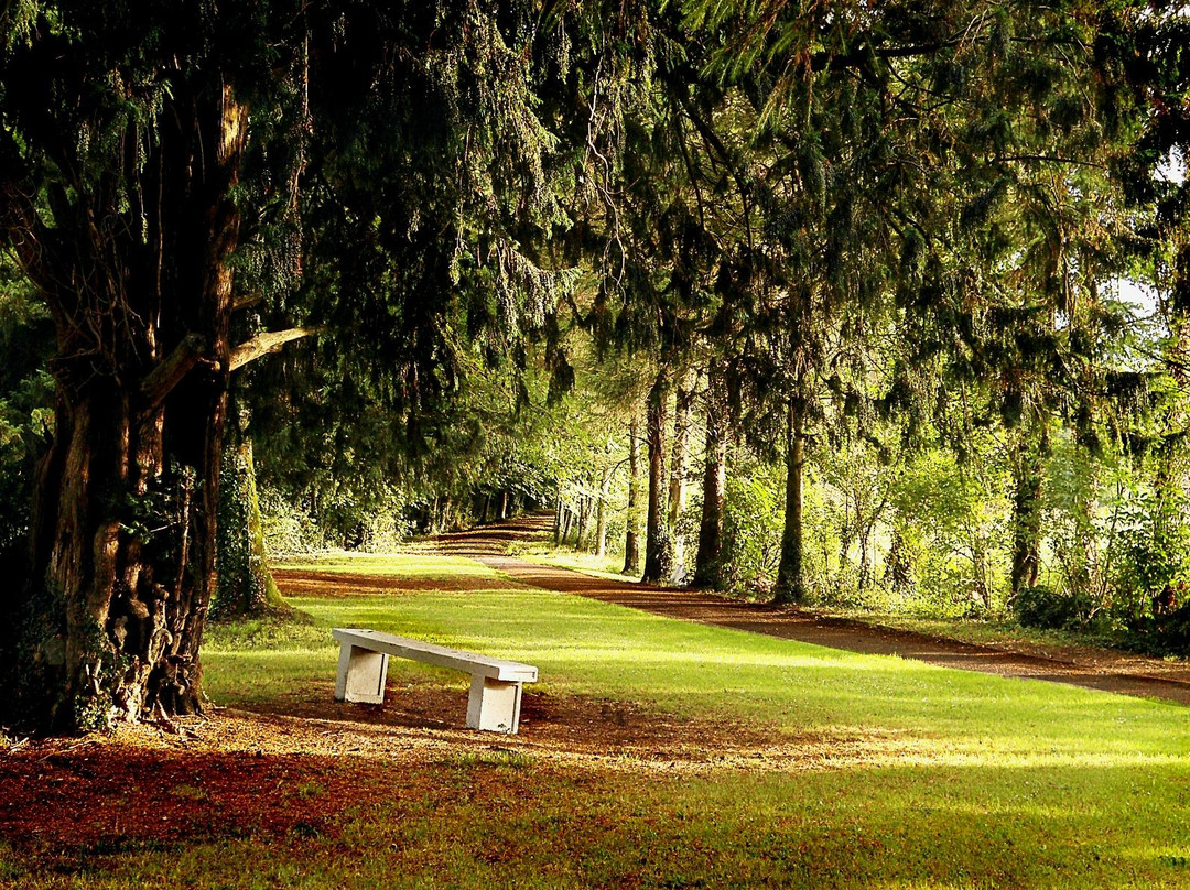 Templemore Park Fairy Trail-Templemore必去景点