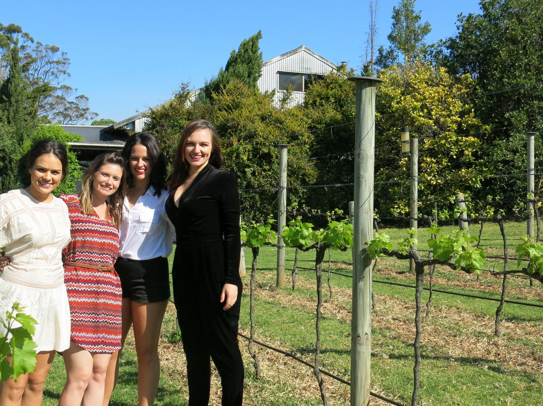 Mount Tamborine Wine Tasting Tours景点图片