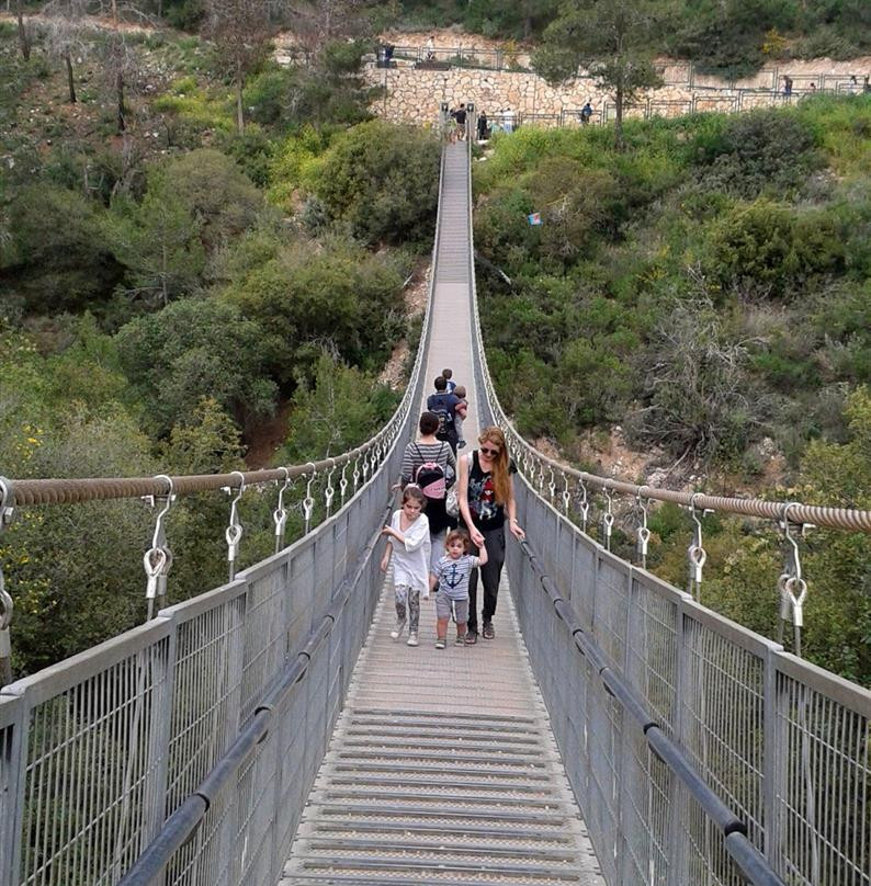 Hanging Bridge at Nesher Park-Haifa必去景点