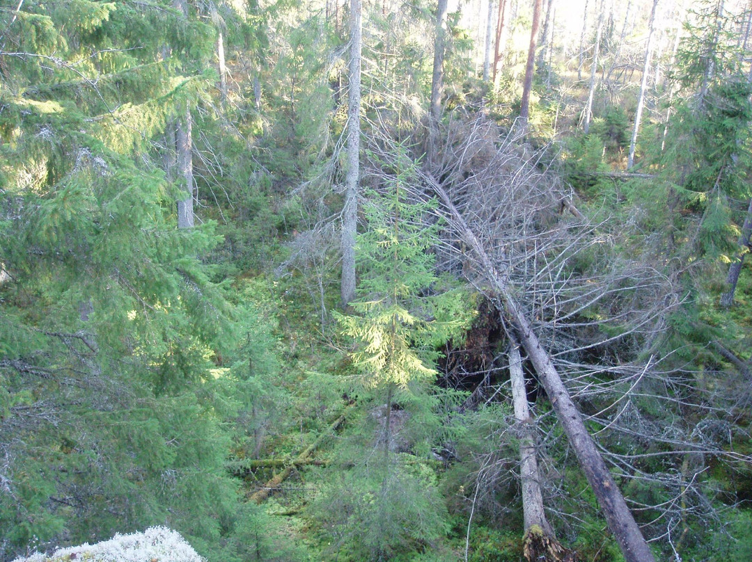 Gronudde Naturreservat-Vena必去景点