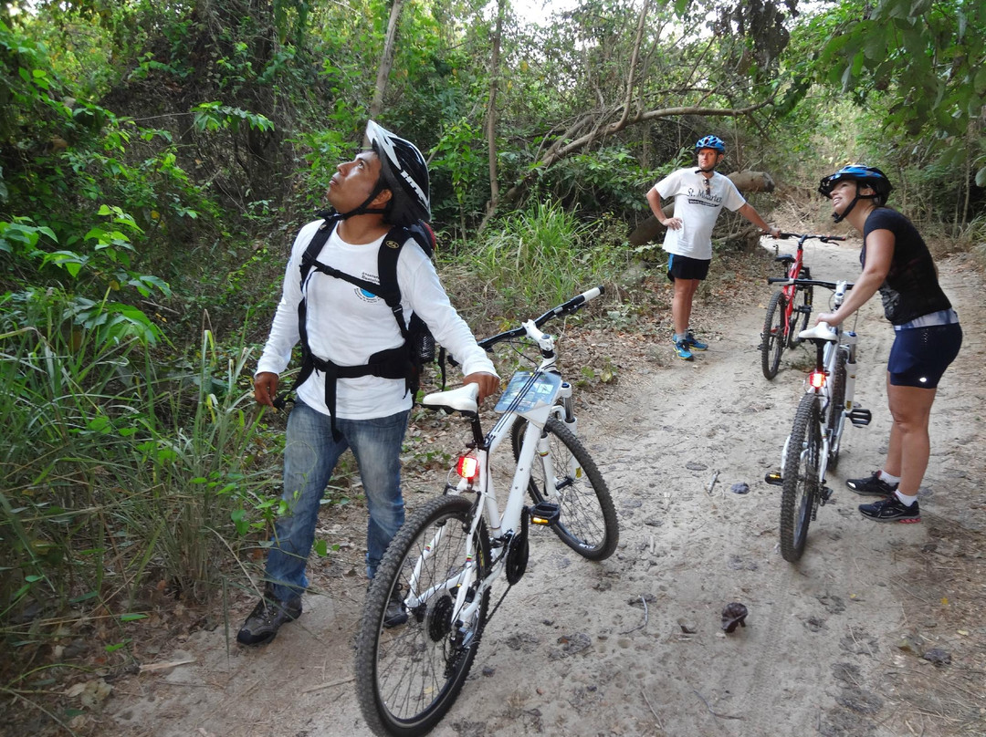 Easy Bikes Huatulco-Crucecita必去景点