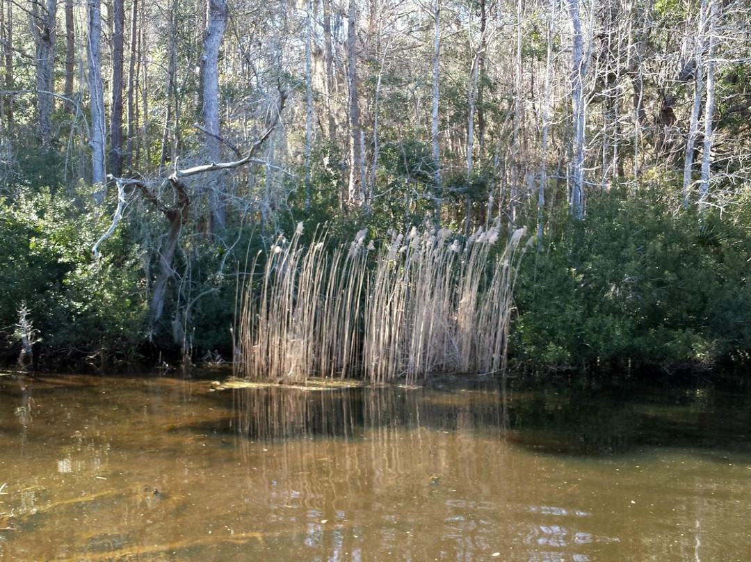 Laurel Hill County Park景点图片