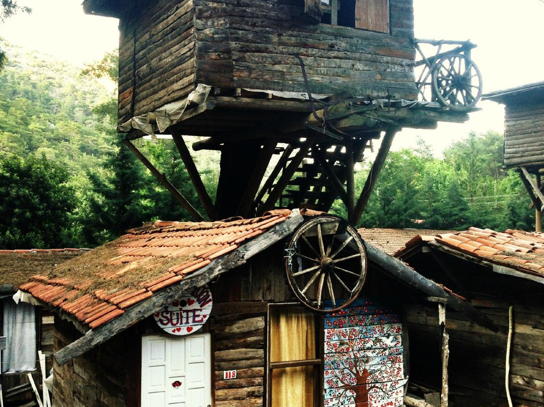 Kadir's Tree House