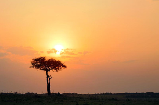 Kenya Incentive Tours & Safaris - Day Tours-内罗毕必去景点