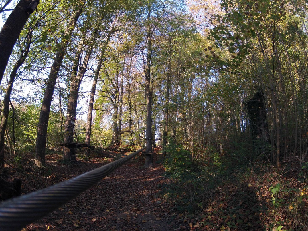 Erlebniskletterwald-罗拉克必去景点