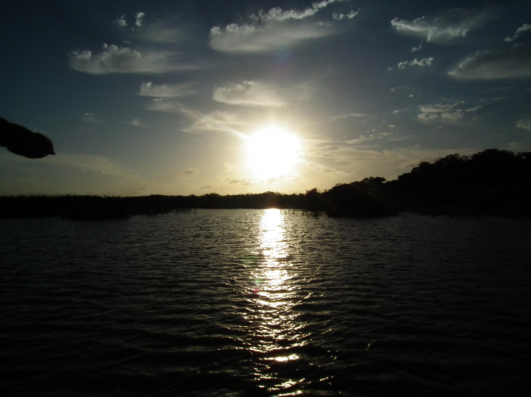 圣卢西亚湿地公园-圣露西亚必去景点