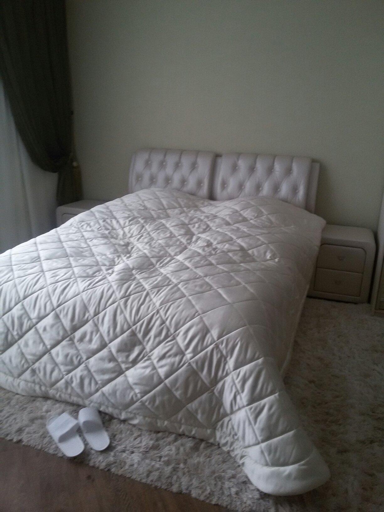 Hotel Alexandria-客卧