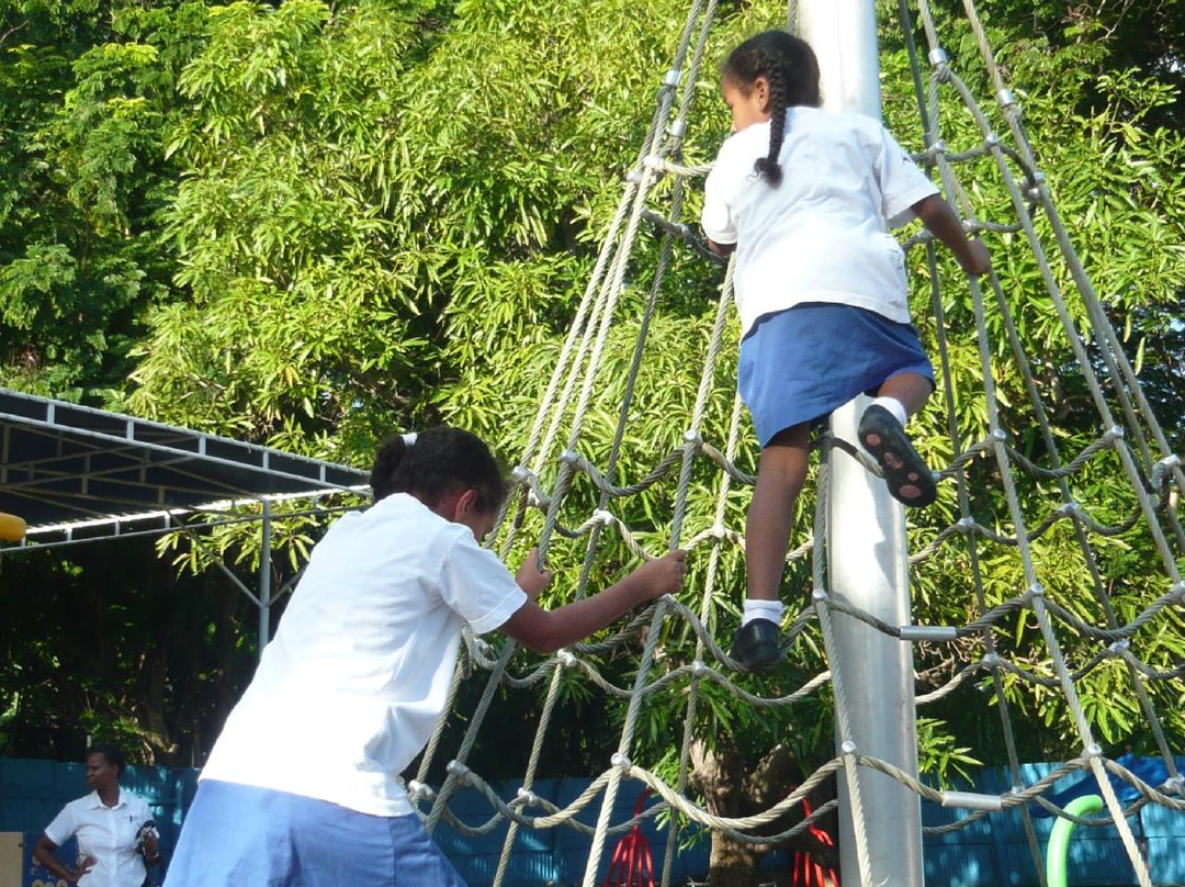 Arty's Play Park-布里奇顿必去景点