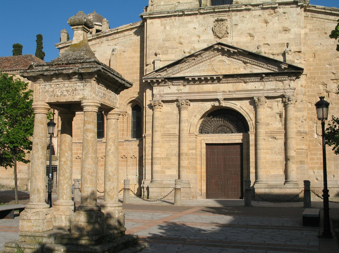 Catedral de Santa Maria景点图片