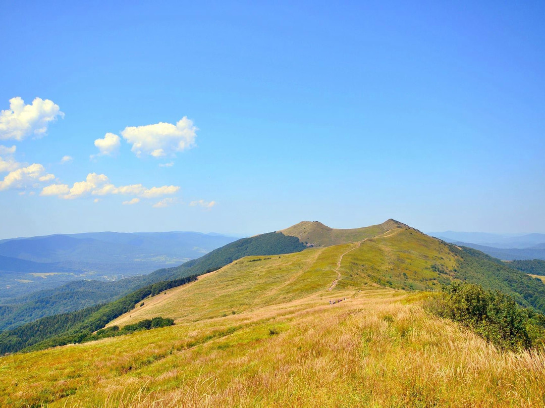 Bieszczady National Park景点图片