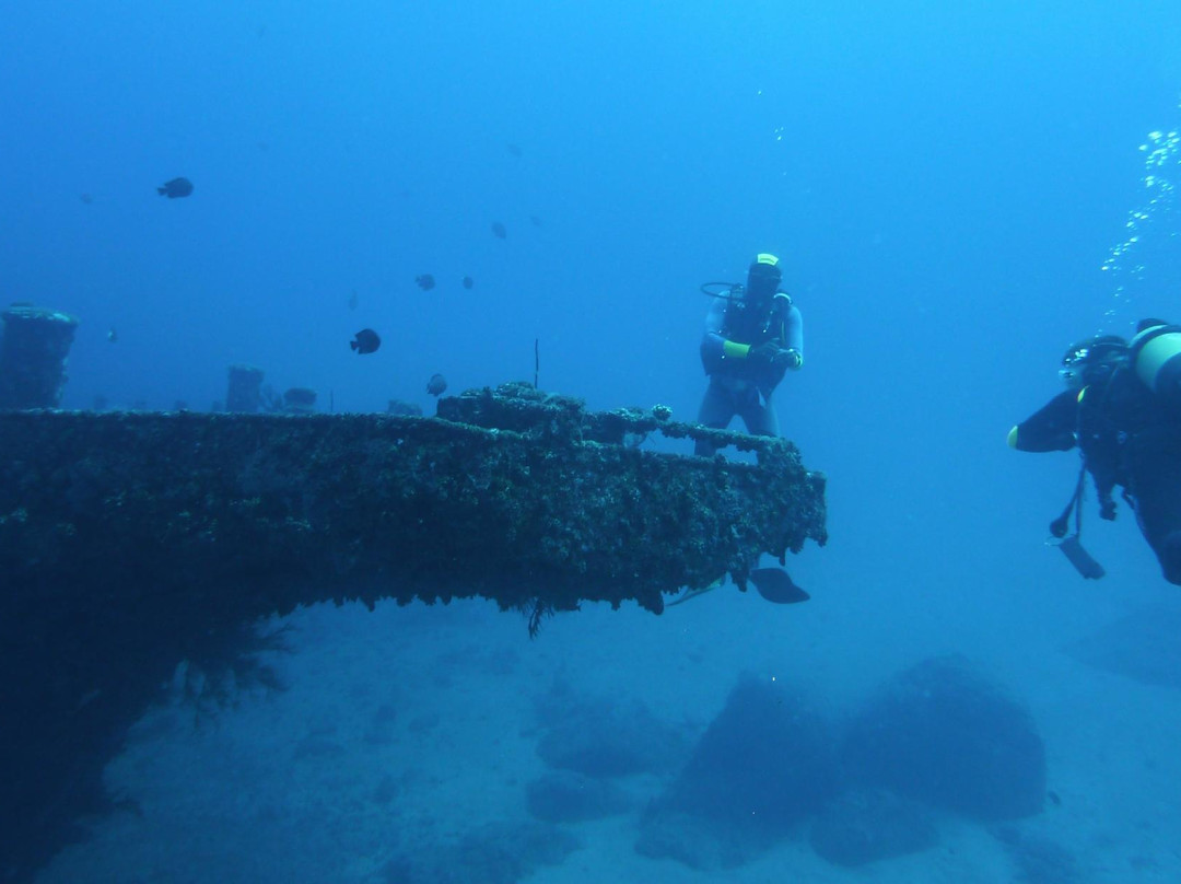 Nemo Diving Center-弗力克昂弗雷克必去景点