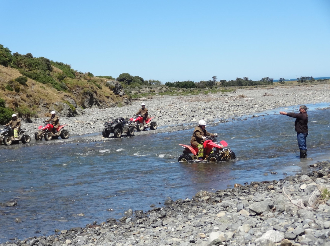 Wellington Adventures - Day Trip-惠灵顿必去景点
