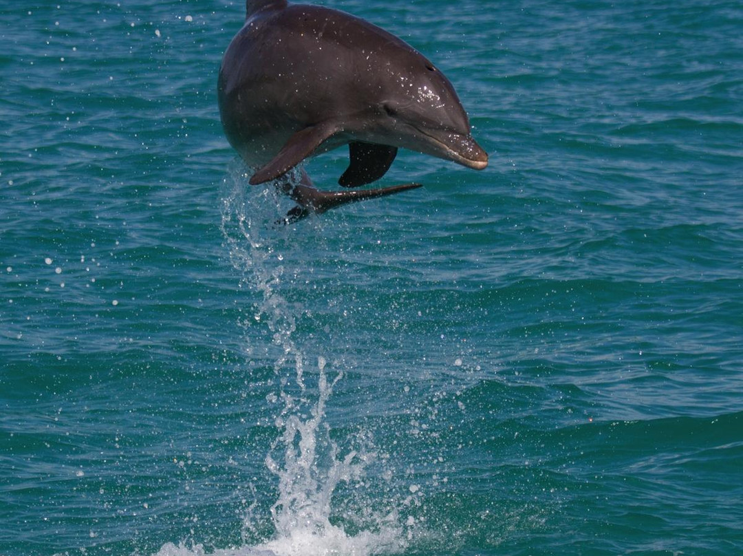 Honest Eco-基韦斯特必去景点