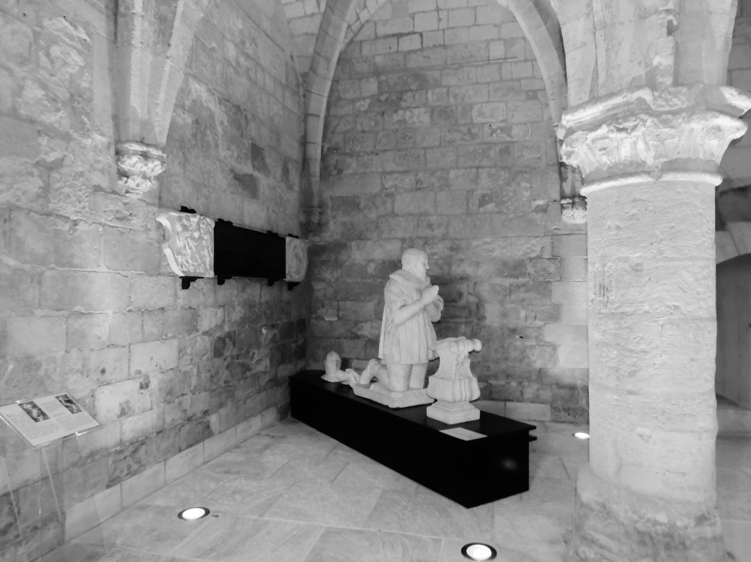 MUDO - Musee de l'Oise景点图片