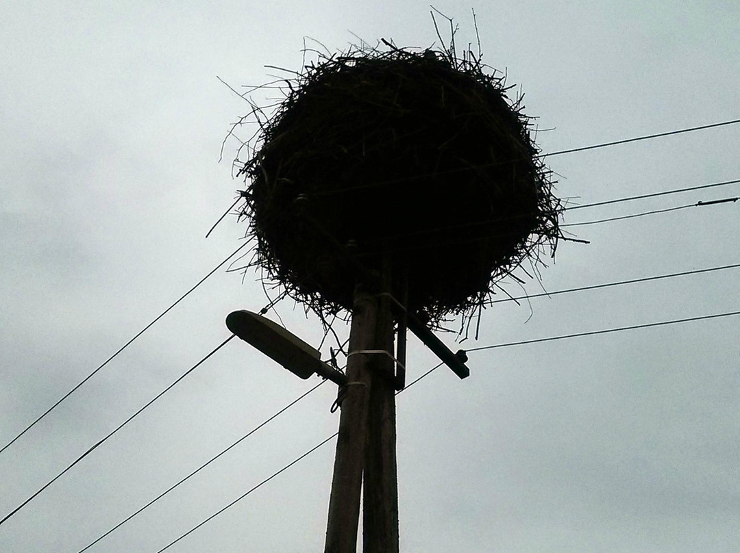 White Stork Museum-Kolked必去景点