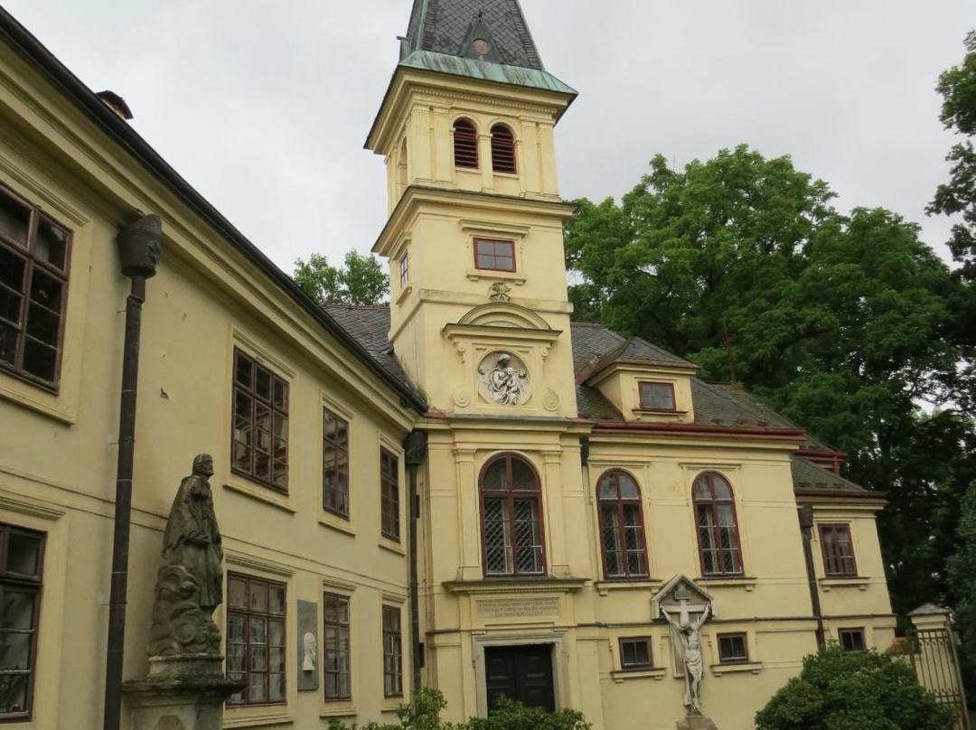 Zamek Luzany