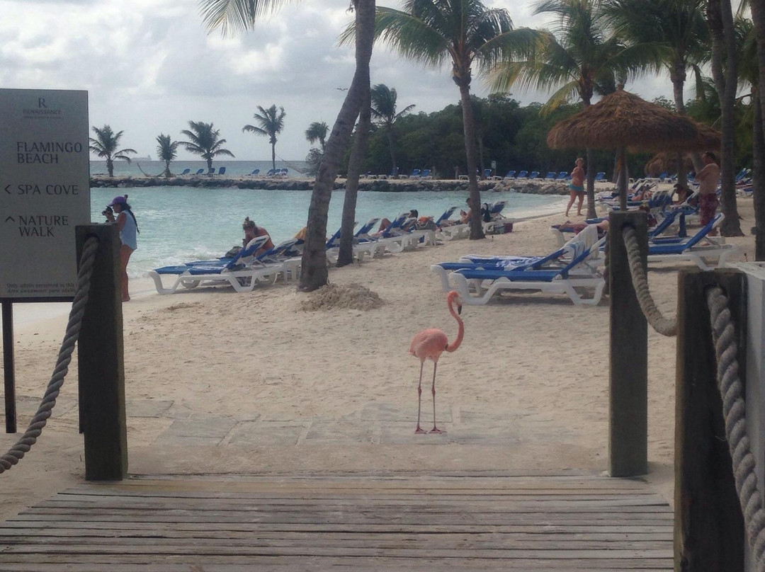 Renaissance Island-阿鲁巴岛必去景点